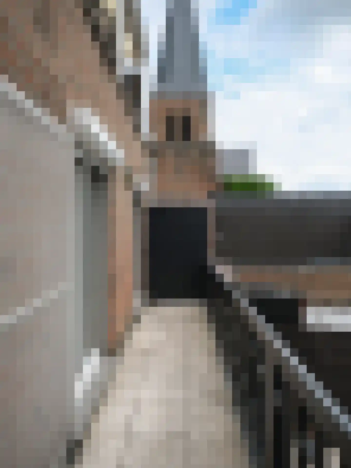 Klein Belgie 3 Vijfhuizen thumbnail 26
