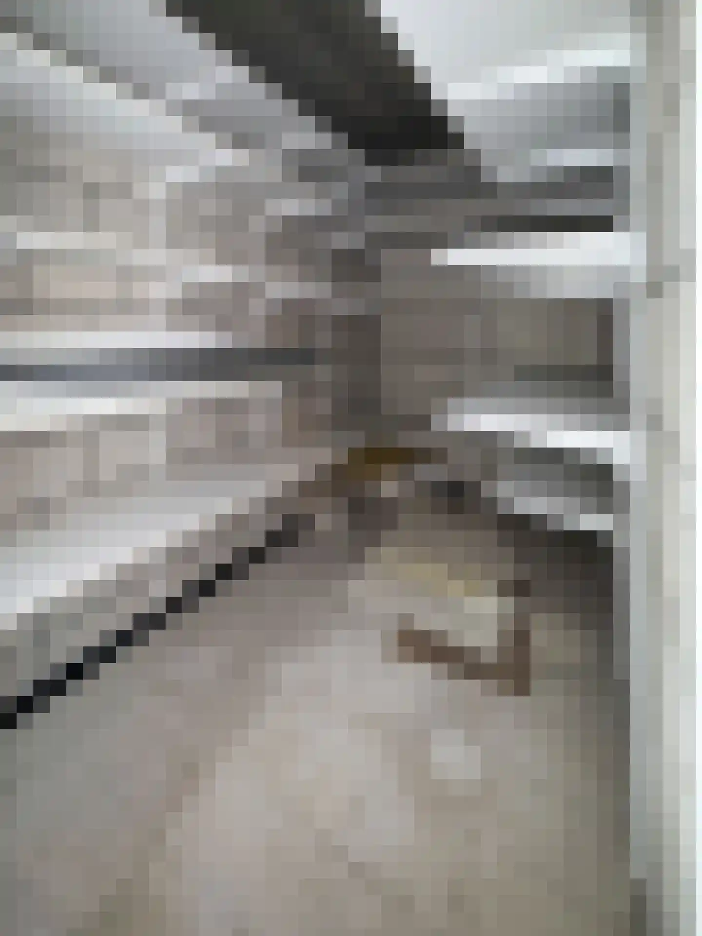 Klein Belgie 3 Vijfhuizen thumbnail 28