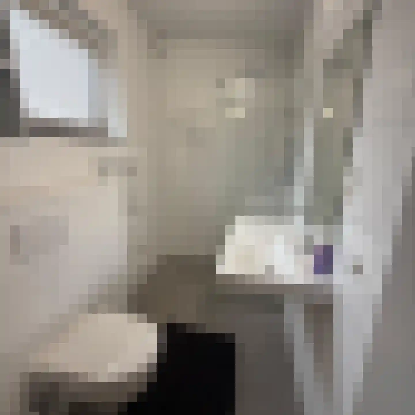 Klein Belgie 3 Vijfhuizen thumbnail 5