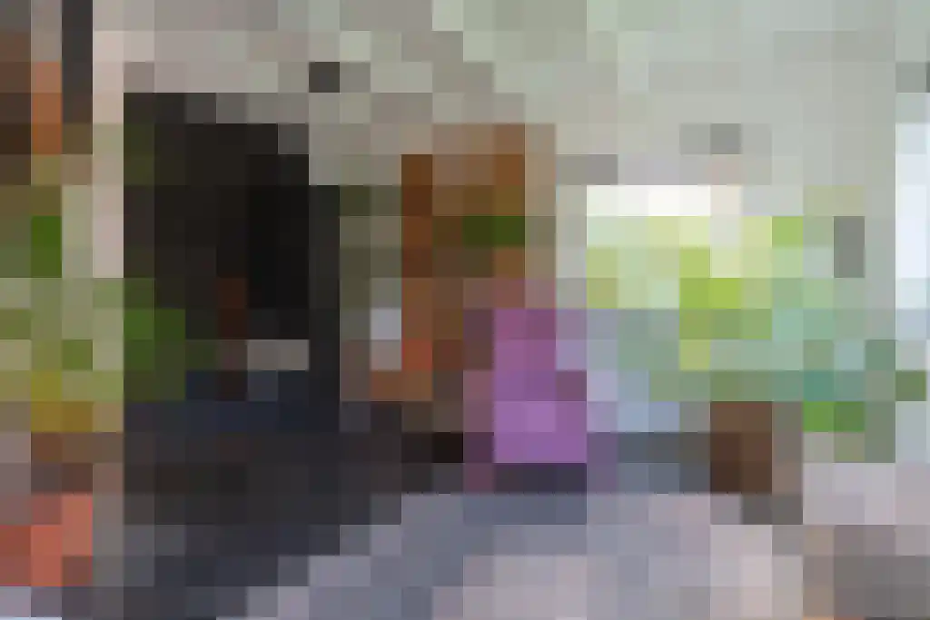 Klein Belgie 3 Vijfhuizen thumbnail 7