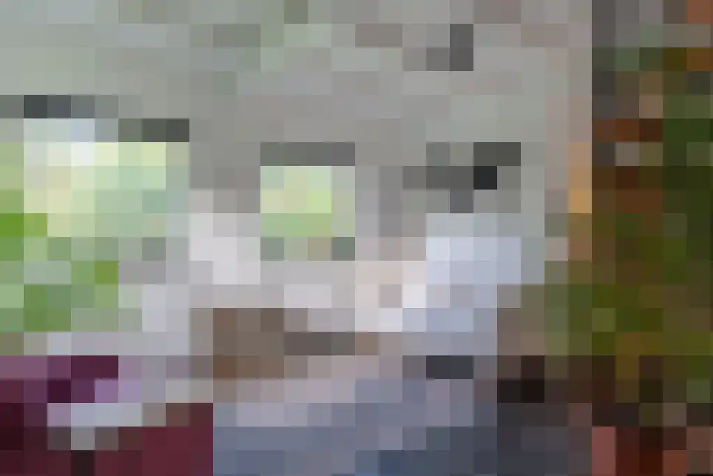 Klein Belgie 3 Vijfhuizen thumbnail 8