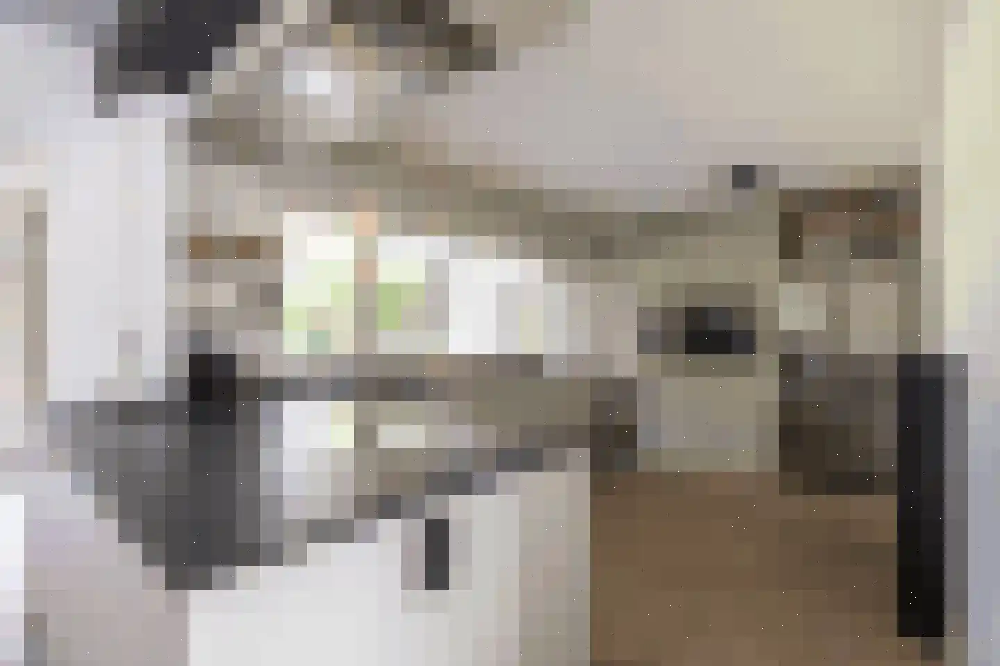 Klein Belgie 30 Vijfhuizen thumbnail 10