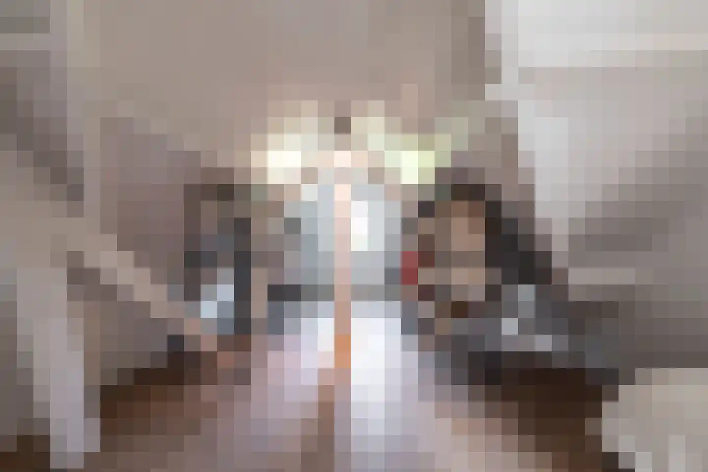 Klein Belgie 30 Vijfhuizen thumbnail 22