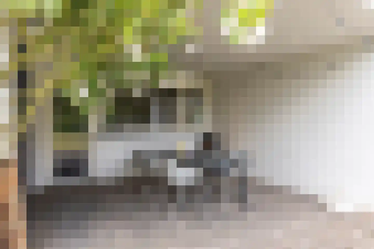 Klein Belgie 30 Vijfhuizen thumbnail 26