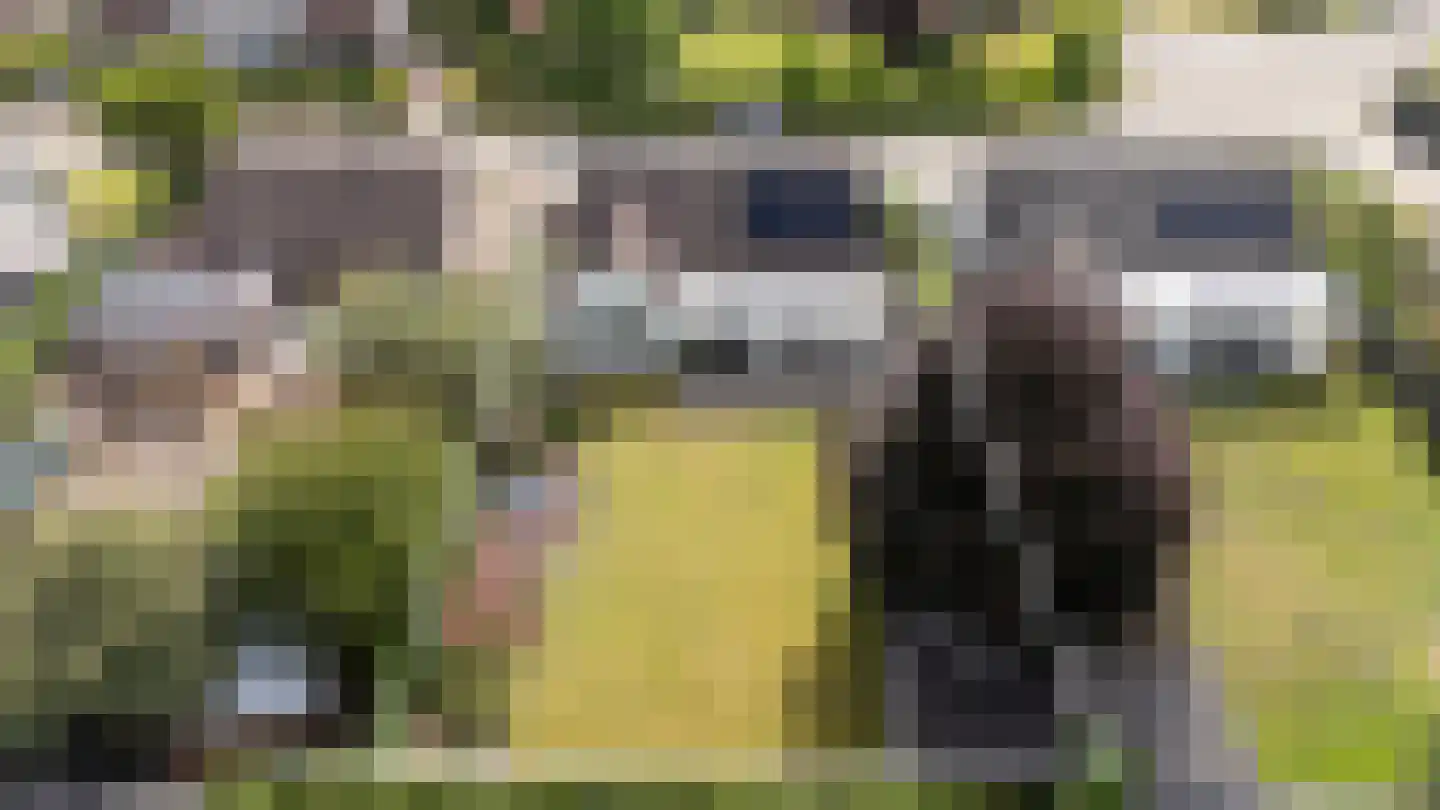 Klein Belgie 30 Vijfhuizen thumbnail 30