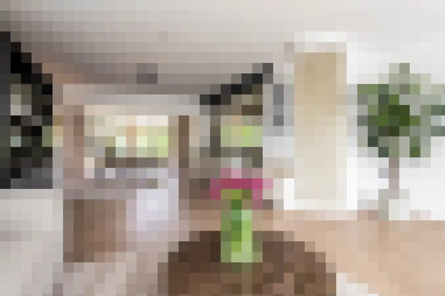 Klein Belgie 30 Vijfhuizen thumbnail 5