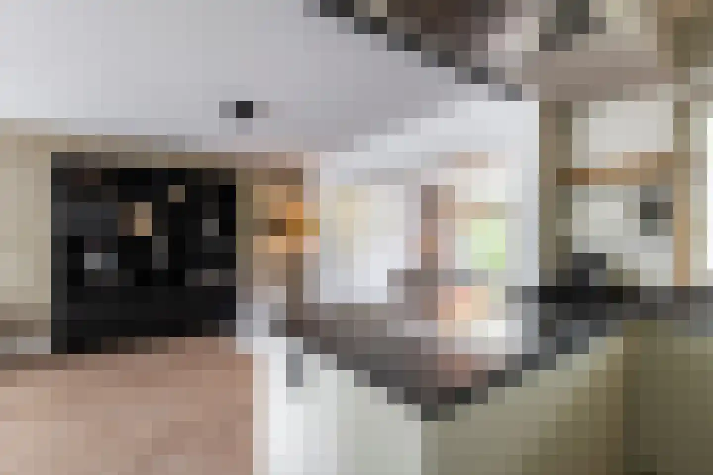 Klein Belgie 30 Vijfhuizen thumbnail 9