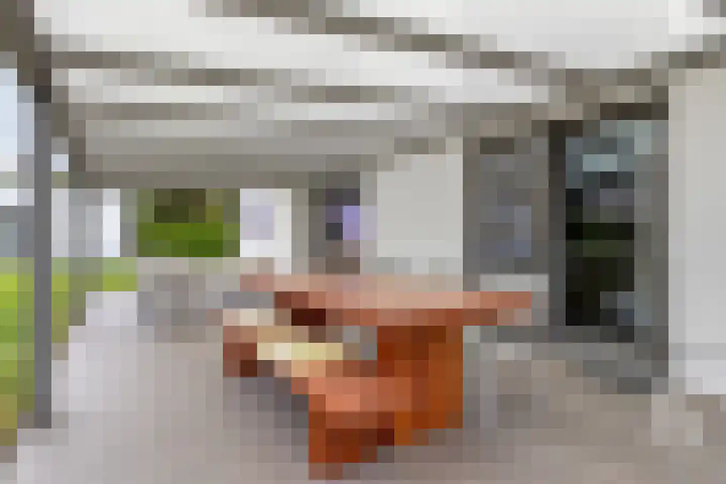 Klein Belgie 31 Vijfhuizen thumbnail 20
