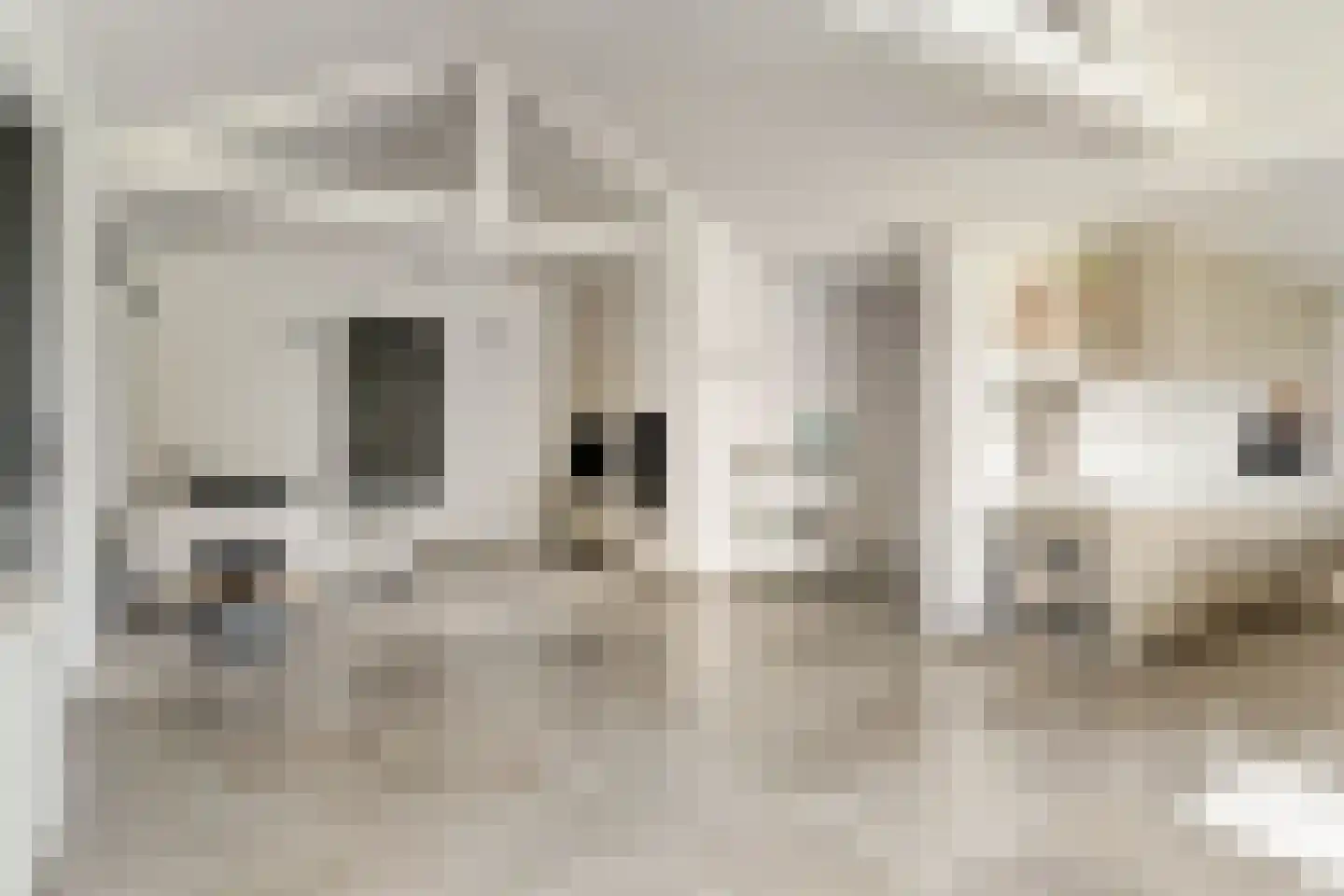 Klein Belgie 31 Vijfhuizen thumbnail 4
