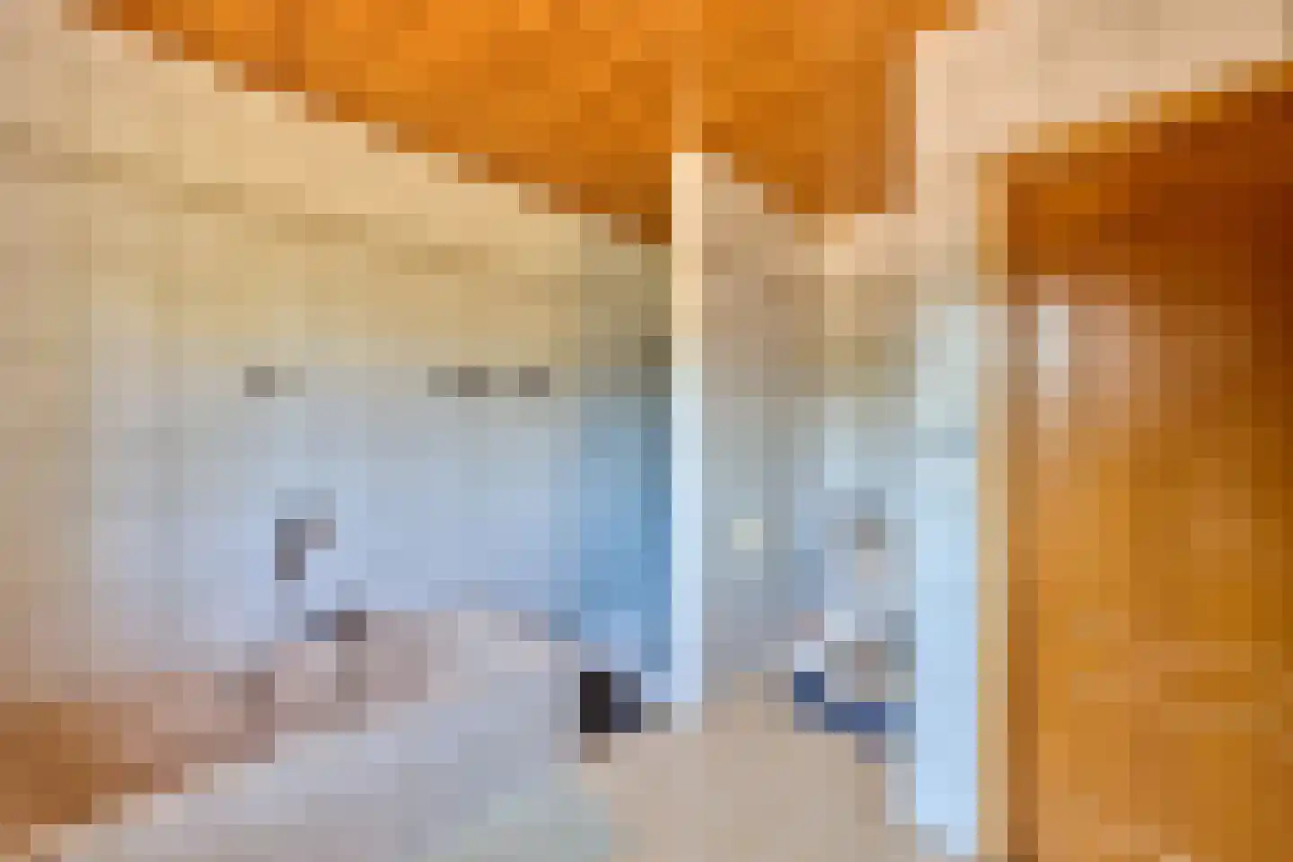 Klein Belgie 32 Vijfhuizen thumbnail 11