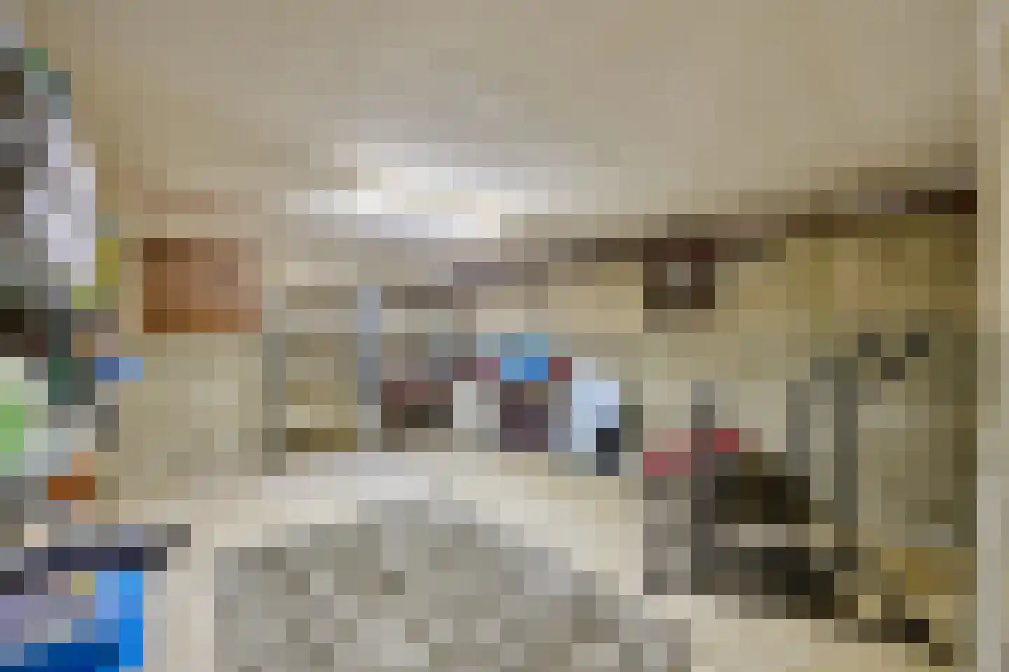 Klein Belgie 32 Vijfhuizen thumbnail 12