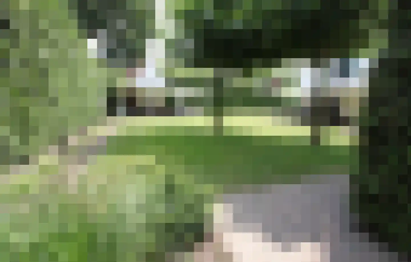 Klein Belgie 32 Vijfhuizen thumbnail 13