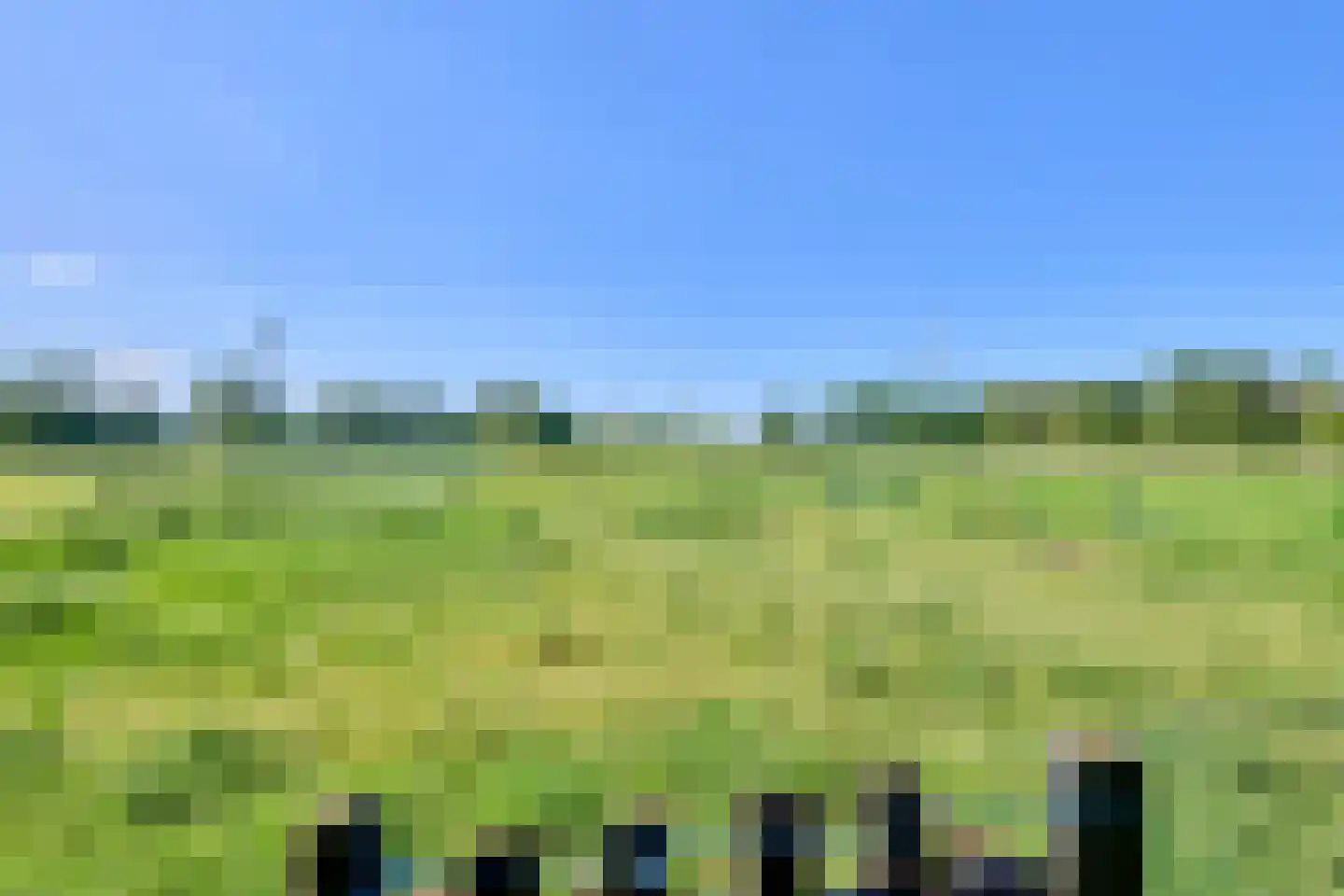 Klein Belgie 32 Vijfhuizen thumbnail 21