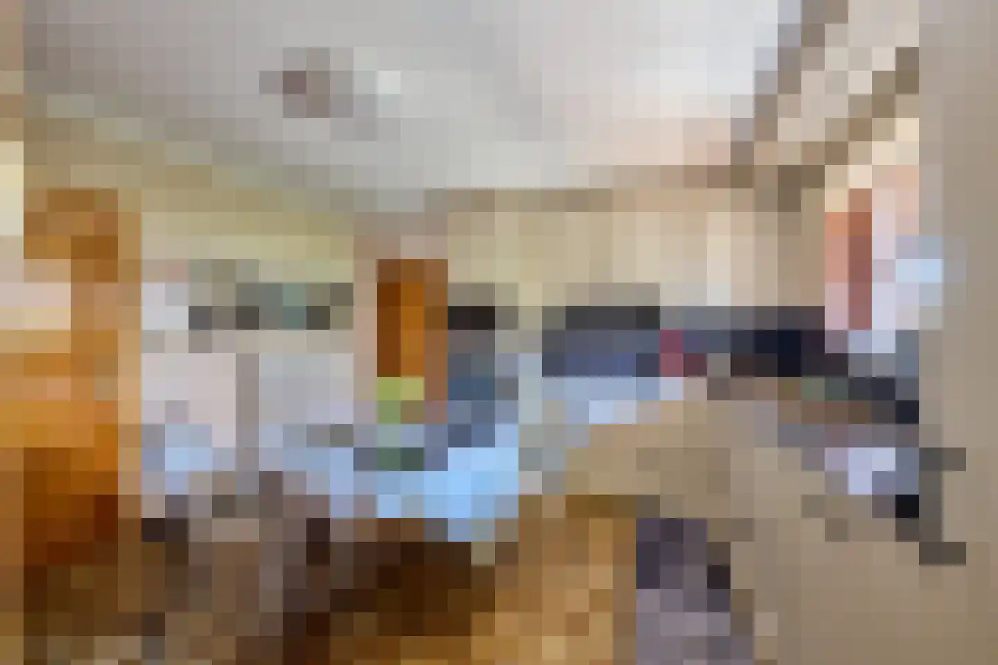 Klein Belgie 32 Vijfhuizen thumbnail 6