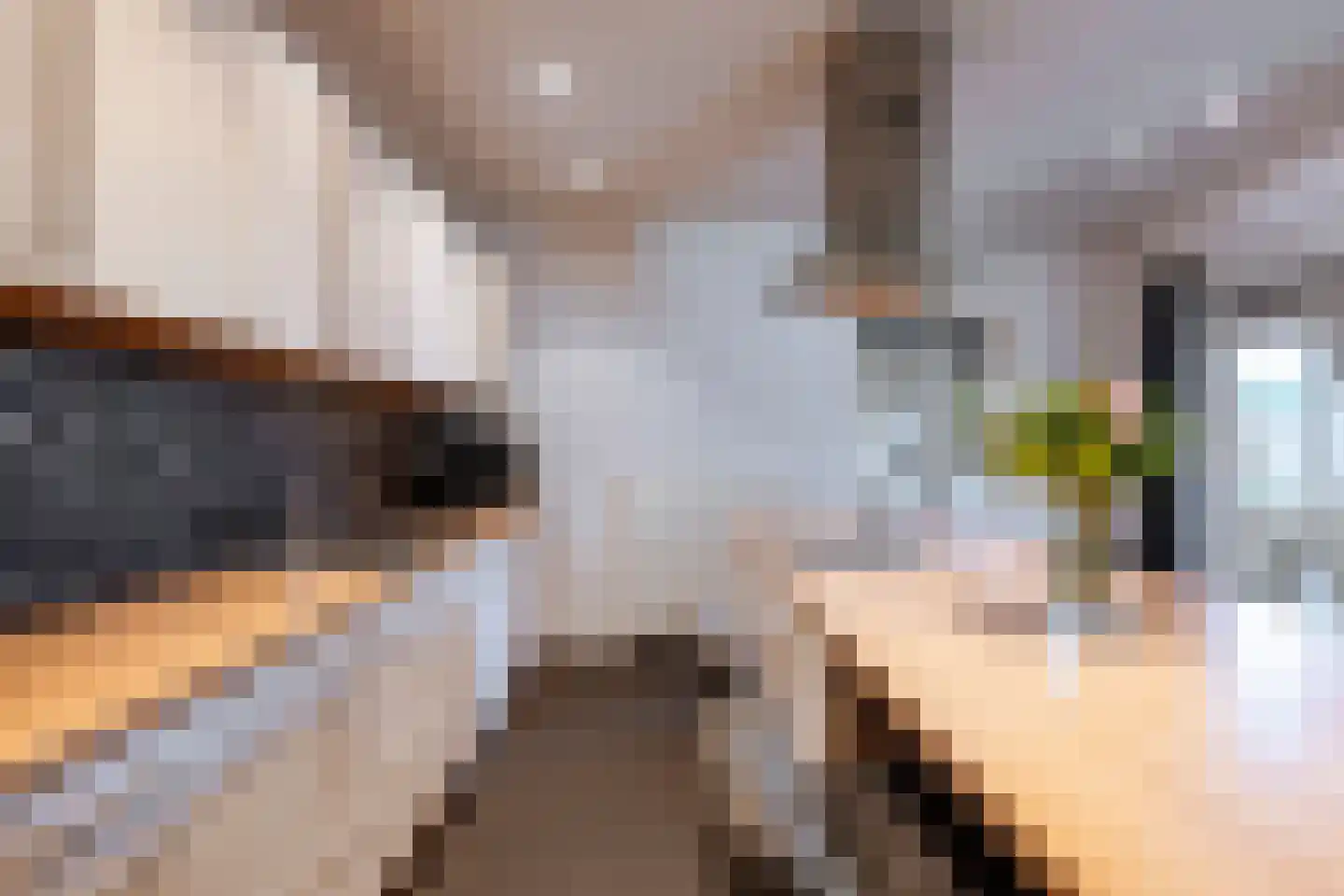 Klein Belgie 34 Vijfhuizen thumbnail 17