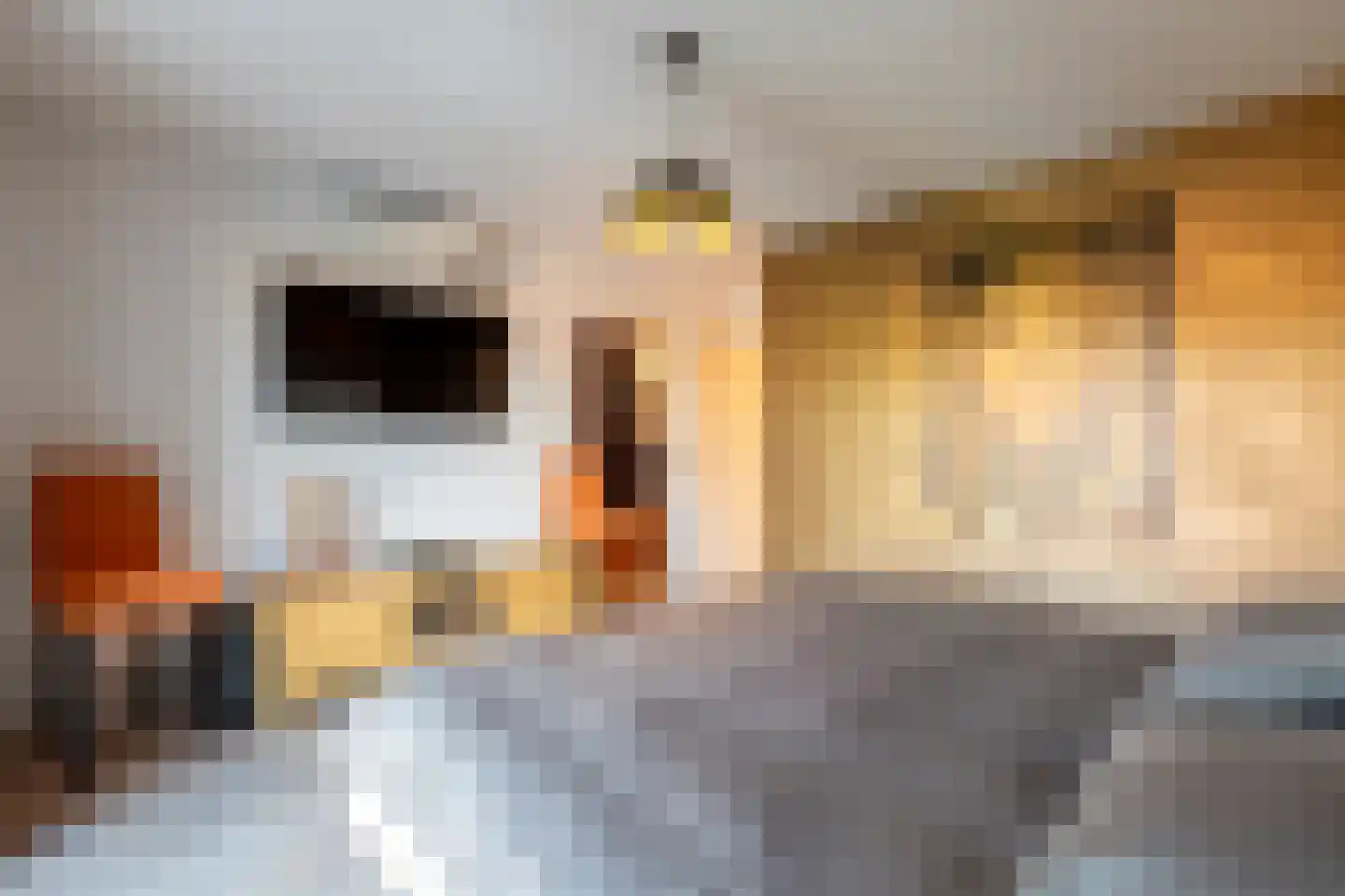 Klein Belgie 34 Vijfhuizen thumbnail 22