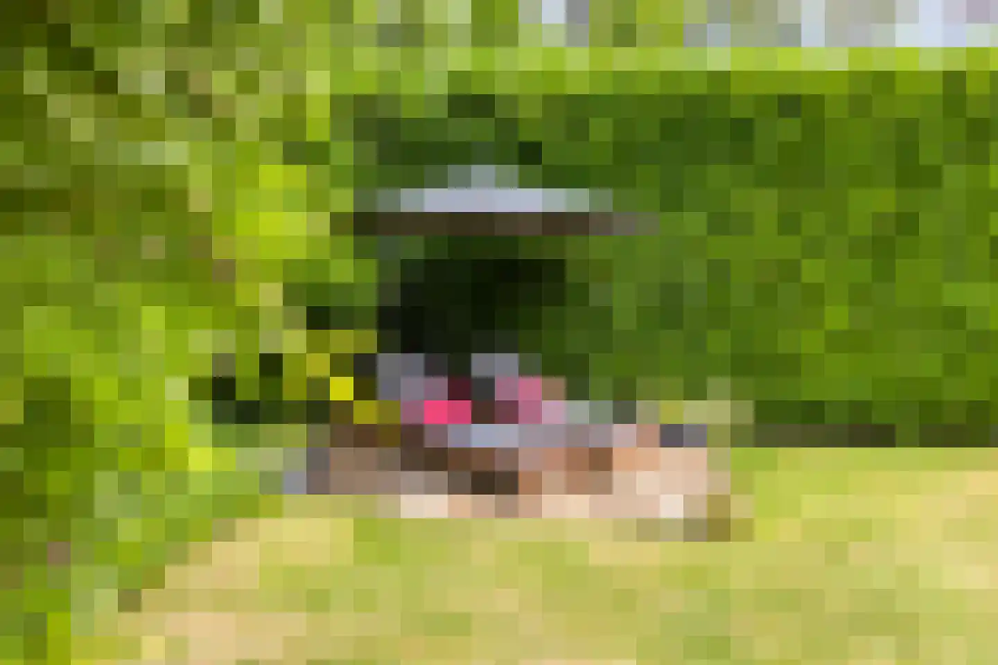 Klein Belgie 34 Vijfhuizen thumbnail 23