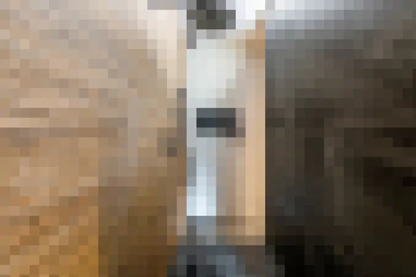Klein Belgie 34 Vijfhuizen thumbnail 26