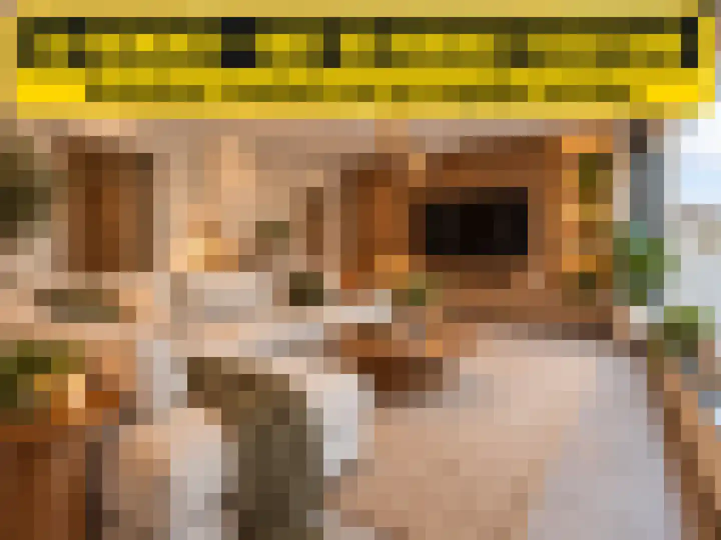 Klein Belgie 34 Vijfhuizen thumbnail 40