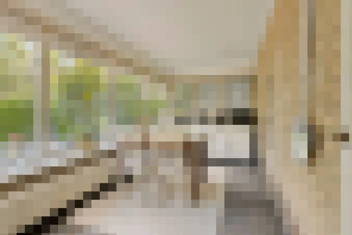 Klein Belgie 34 Vijfhuizen thumbnail 8