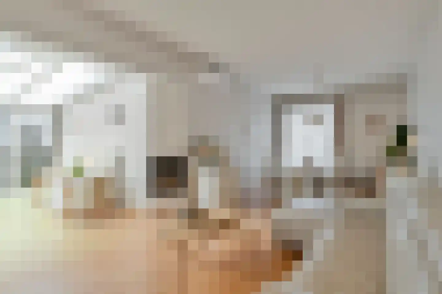 Klein Belgie 34 Vijfhuizen thumbnail 9