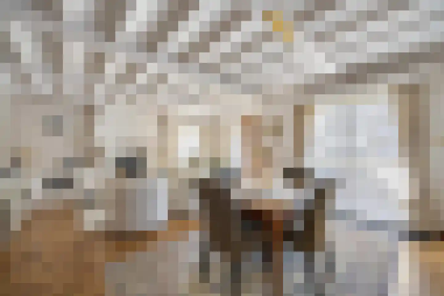 Klein Belgie 36 Vijfhuizen thumbnail 11