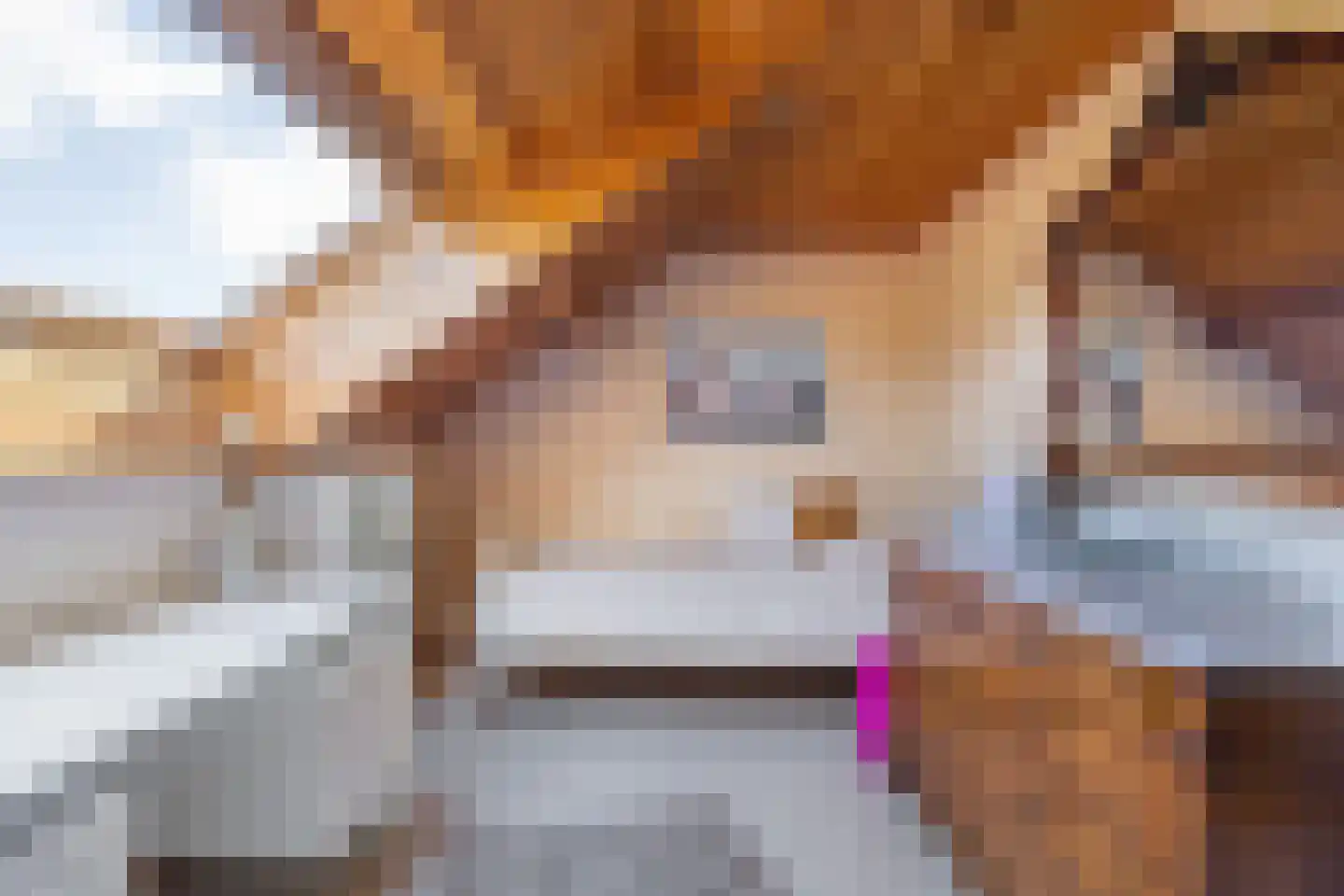 Klein Belgie 36 Vijfhuizen thumbnail 24