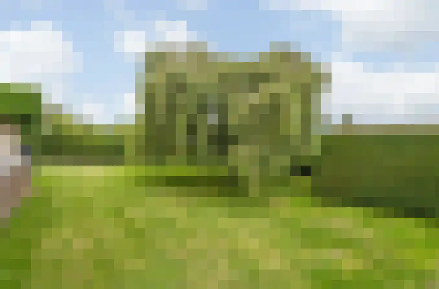 Klein Belgie 36 Vijfhuizen thumbnail 30