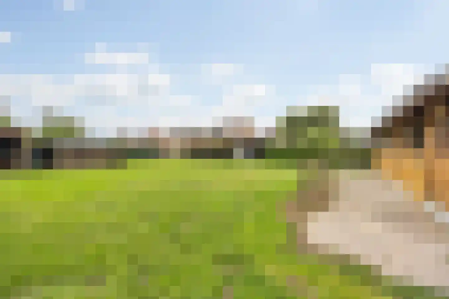 Klein Belgie 36 Vijfhuizen thumbnail 32