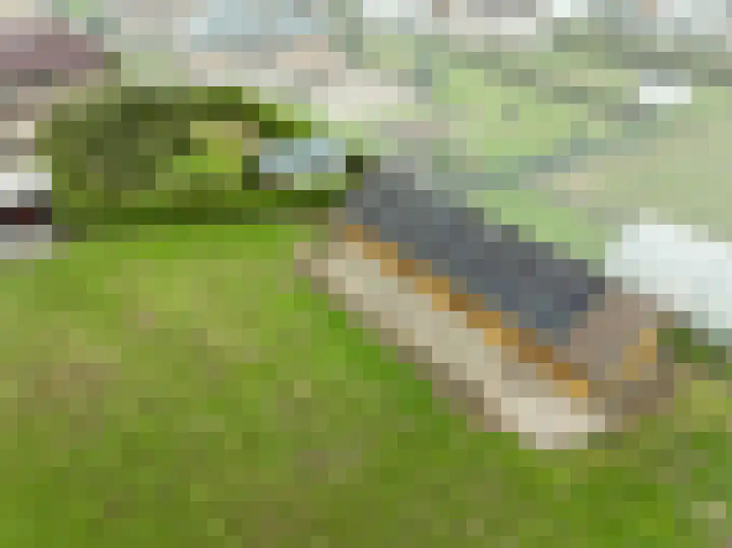 Klein Belgie 36 Vijfhuizen thumbnail 4