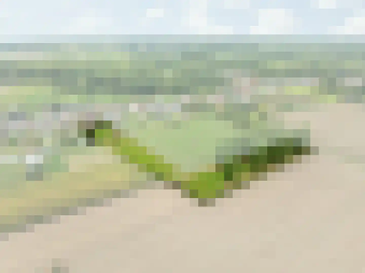 Klein Belgie 36 Vijfhuizen thumbnail 5