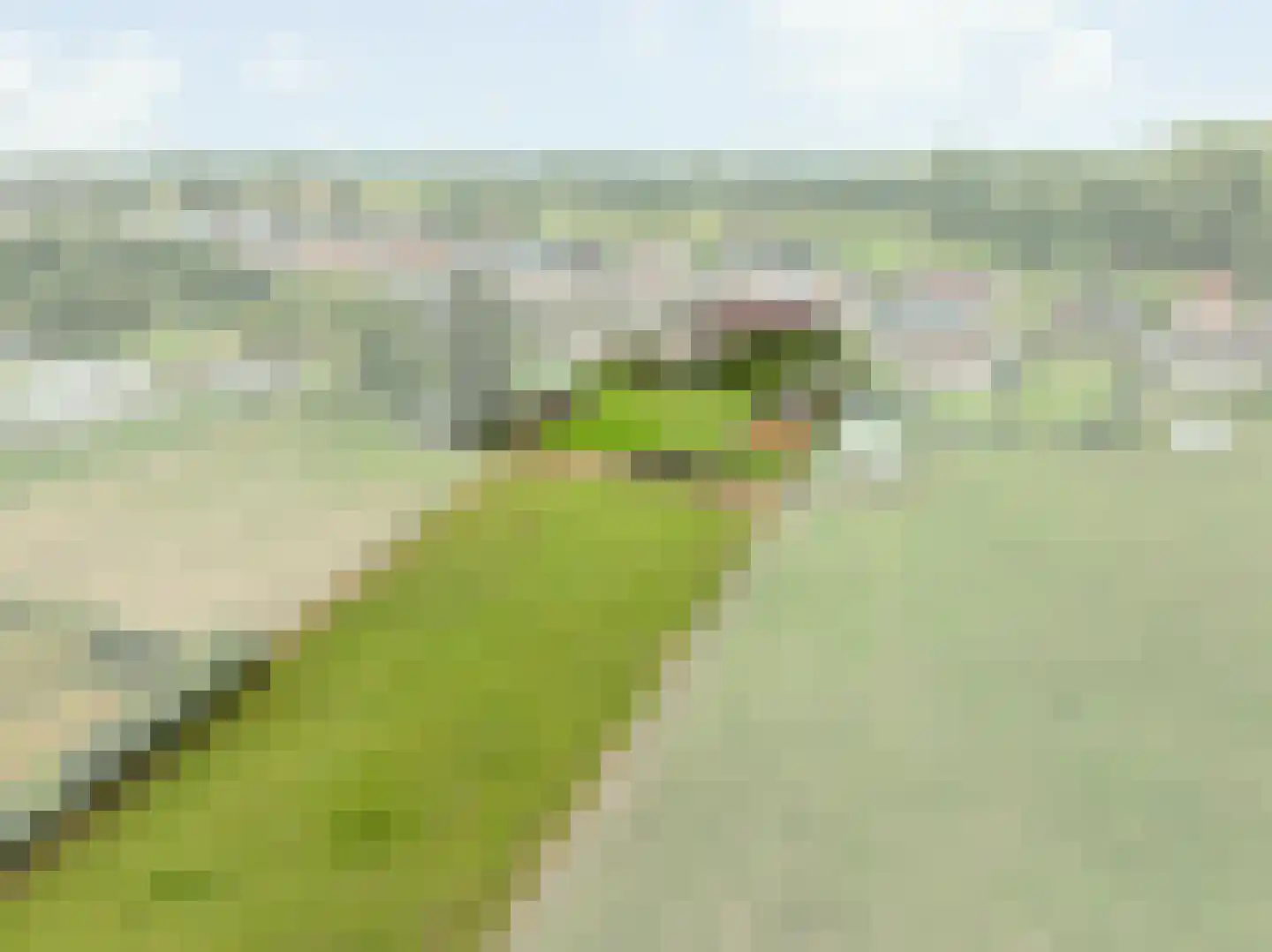 Klein Belgie 36 Vijfhuizen thumbnail 6