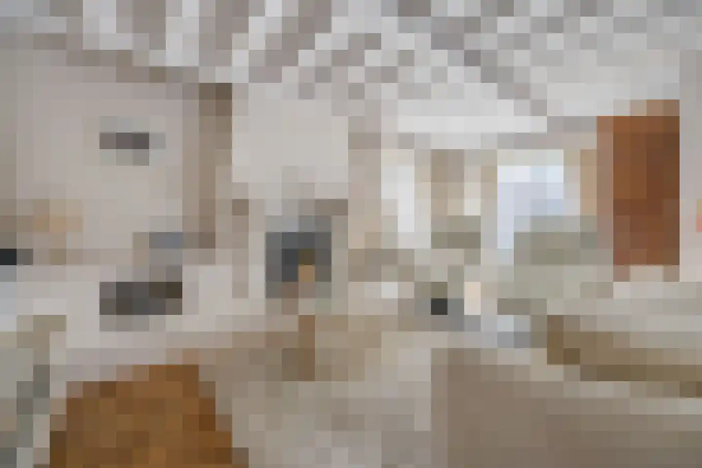 Klein Belgie 36 Vijfhuizen thumbnail 9