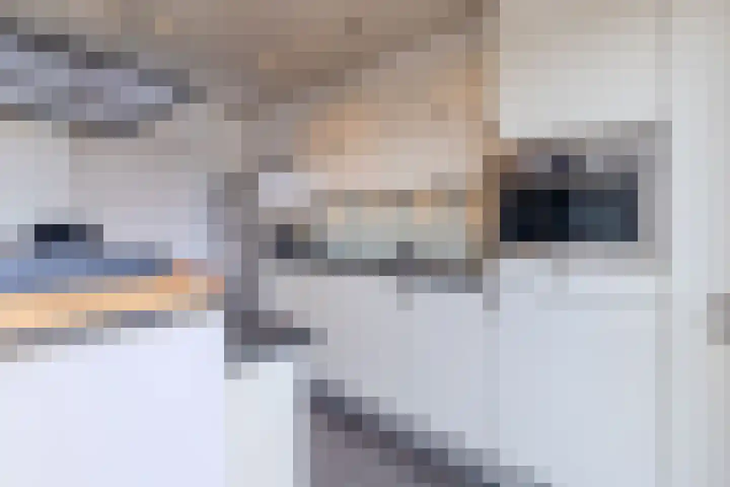 Klein Belgie 3620 Lanaken Vijfhuizen thumbnail 10