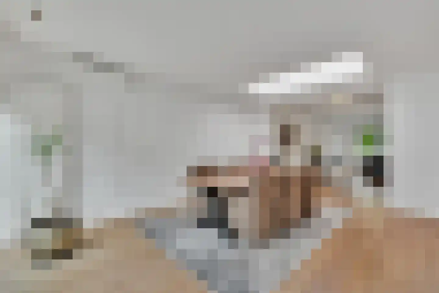 Klein Belgie 3620 Lanaken Vijfhuizen thumbnail 11