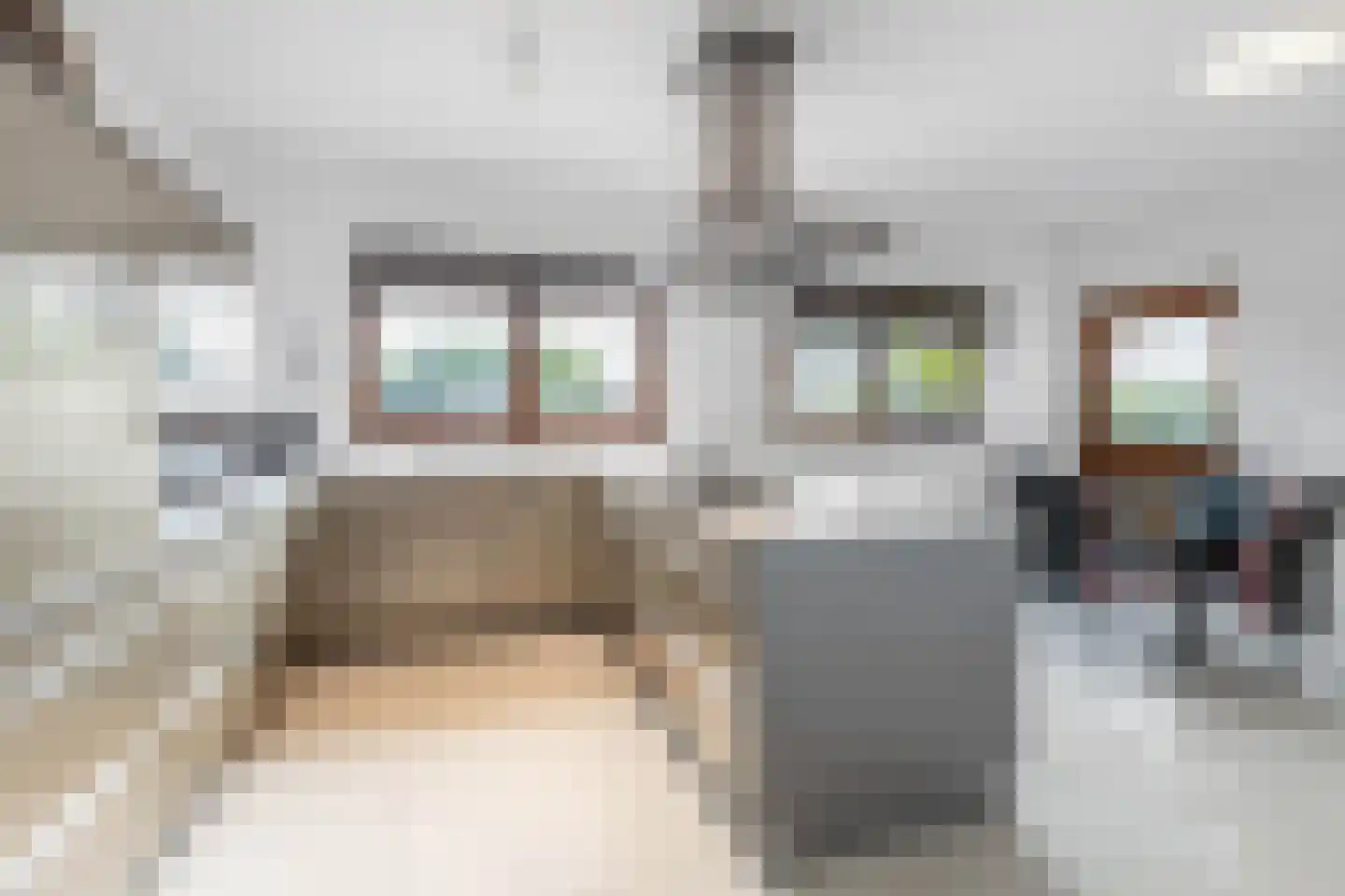 Klein Belgie 3620 Lanaken Vijfhuizen thumbnail 11