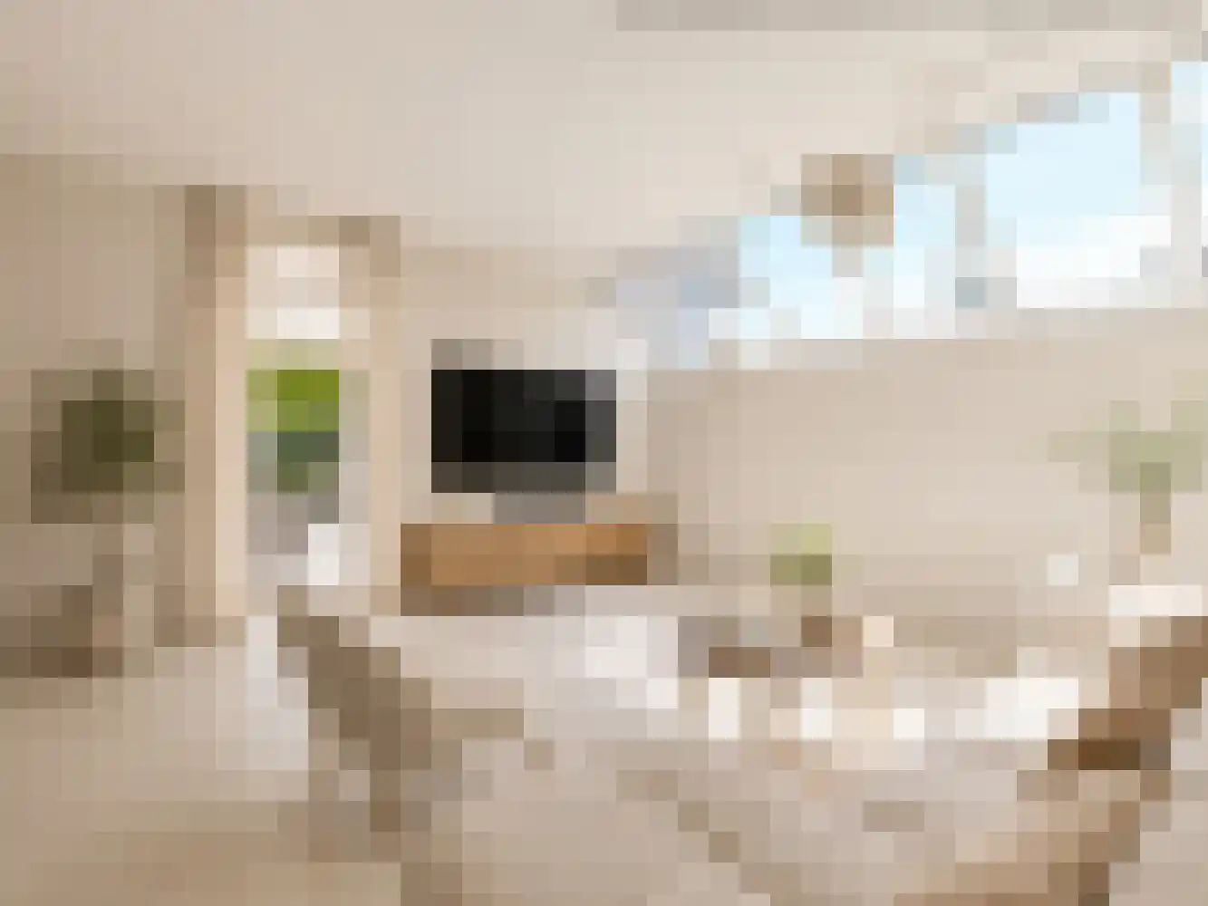 Klein Belgie 3620 Lanaken Vijfhuizen thumbnail 12