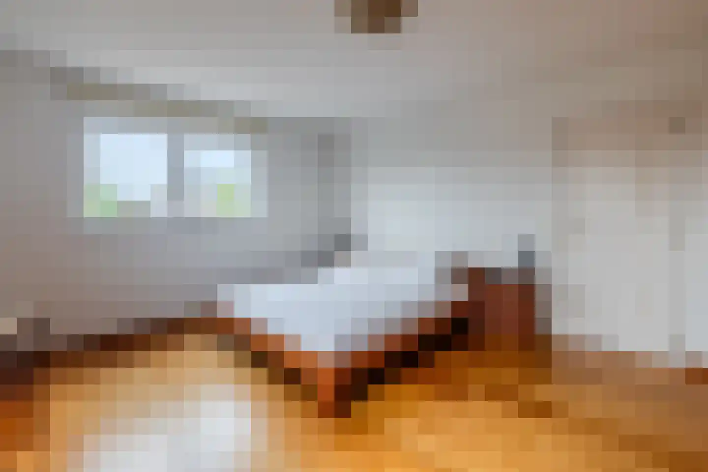Klein Belgie 3620 Lanaken Vijfhuizen thumbnail 14