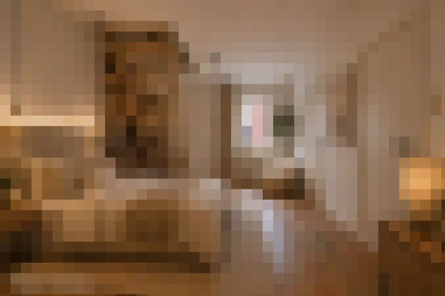 Klein Belgie 3620 Lanaken Vijfhuizen thumbnail 16