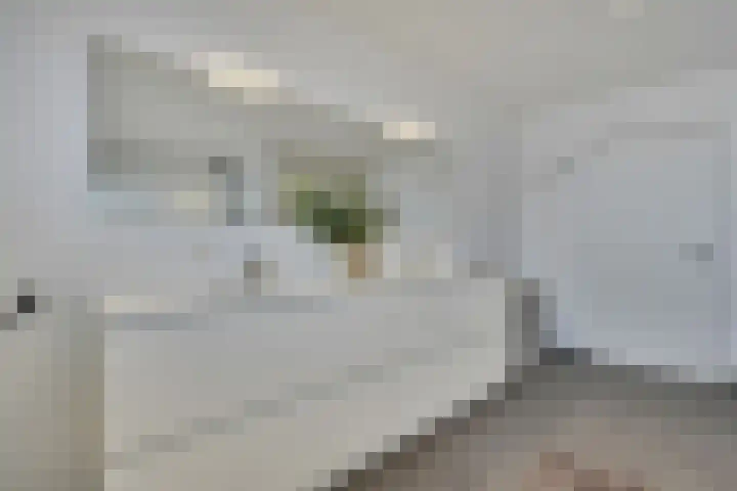 Klein Belgie 3620 Lanaken Vijfhuizen thumbnail 18