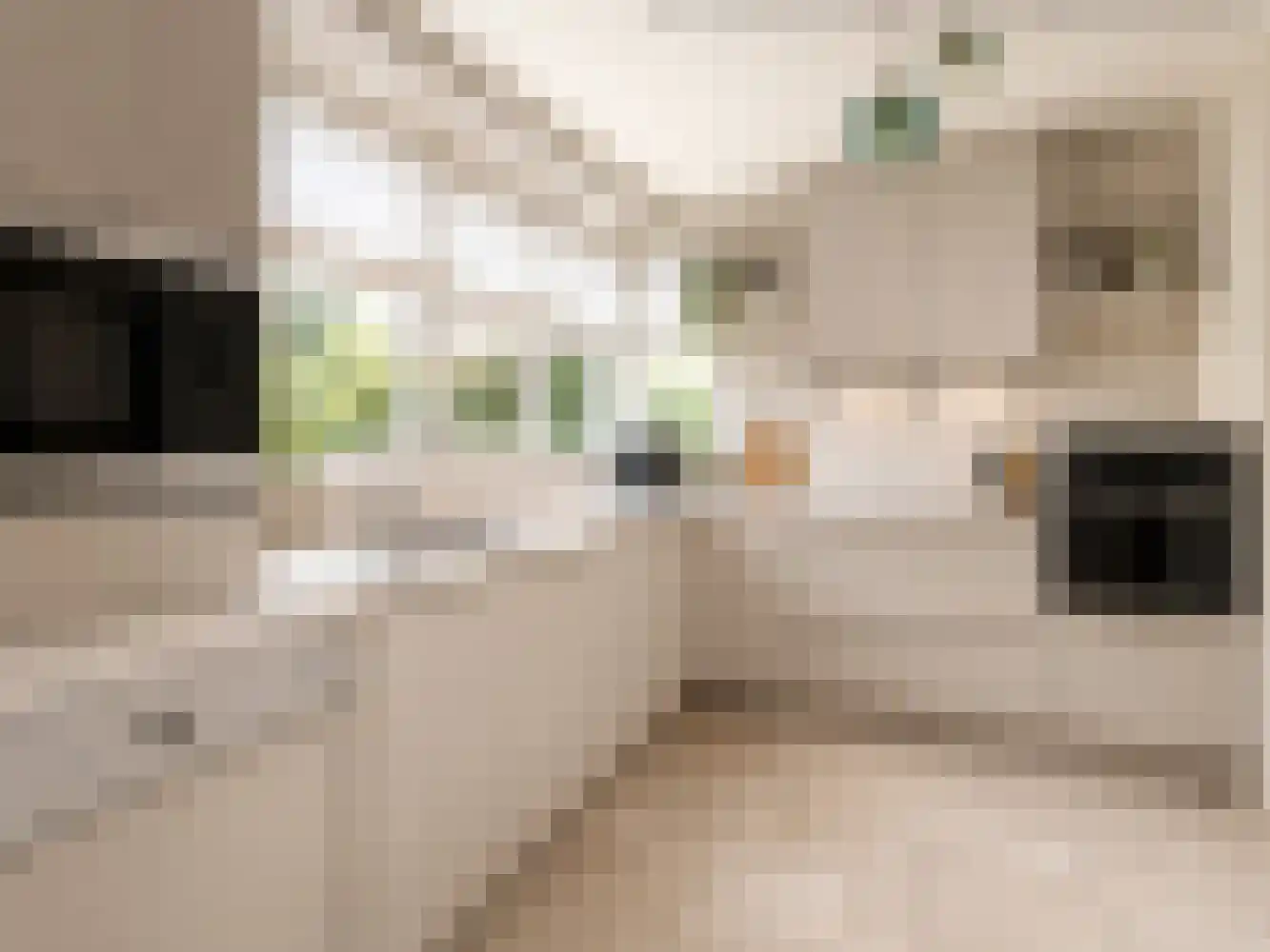Klein Belgie 3620 Lanaken Vijfhuizen thumbnail 20