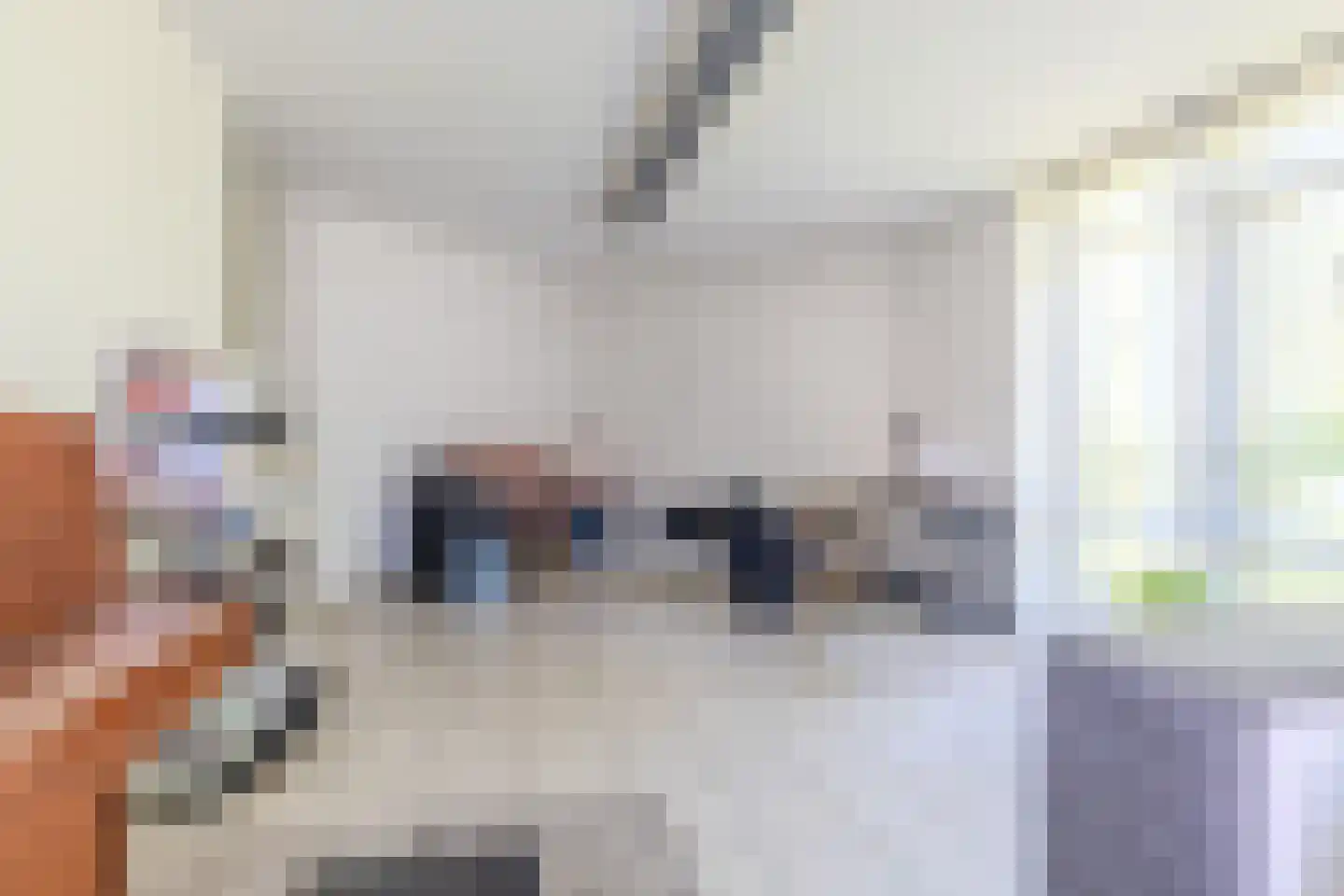 Klein Belgie 3620 Lanaken Vijfhuizen thumbnail 21