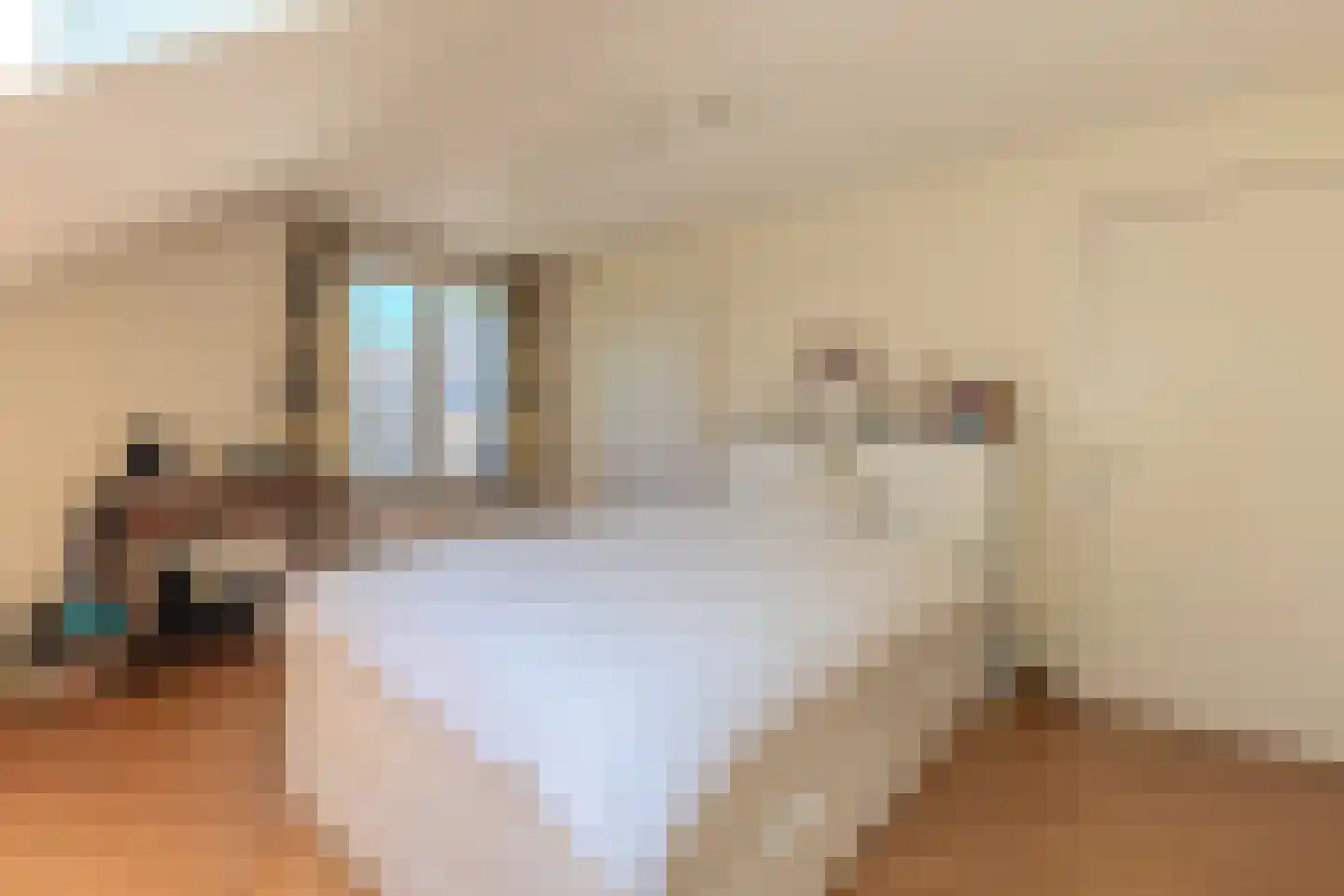 Klein Belgie 3620 Lanaken Vijfhuizen thumbnail 23