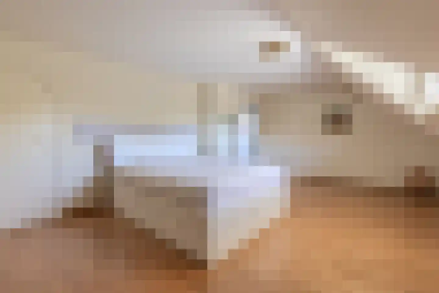 Klein Belgie 3620 Lanaken Vijfhuizen thumbnail 27