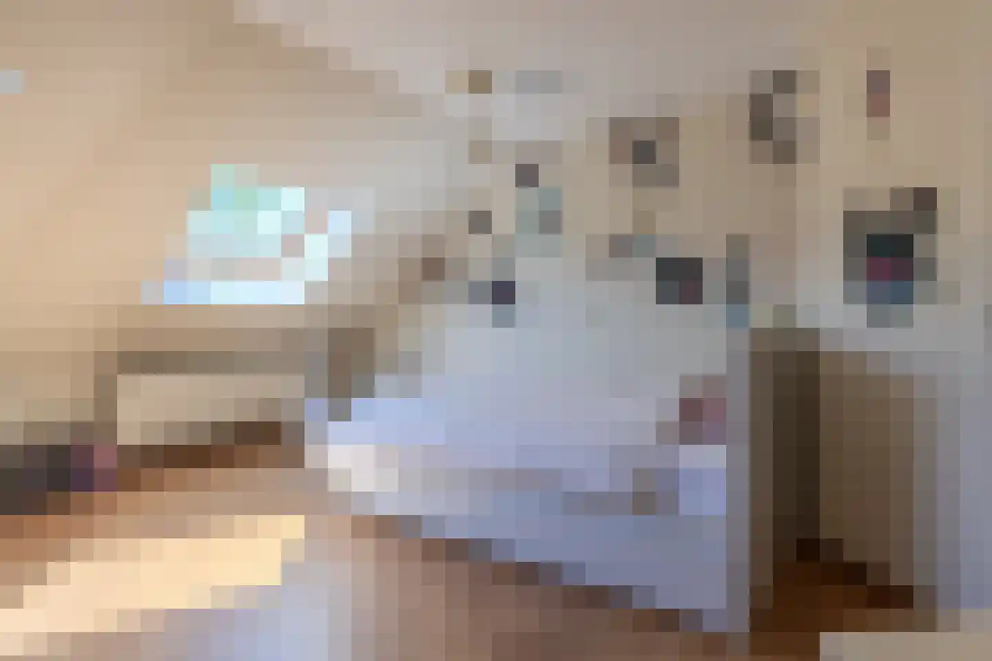 Klein Belgie 3620 Lanaken Vijfhuizen thumbnail 32