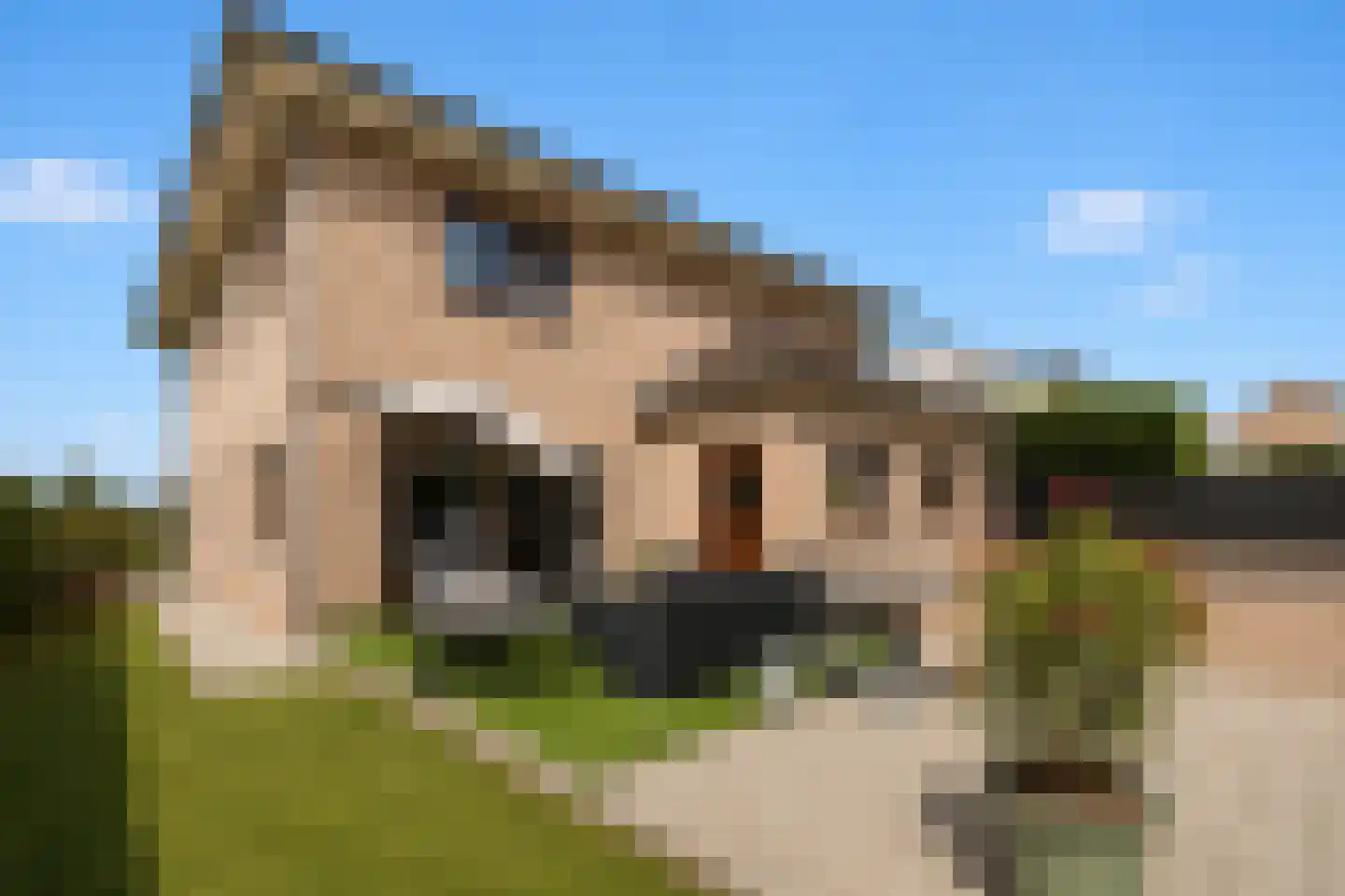 Klein Belgie 3620 Lanaken Vijfhuizen thumbnail 35