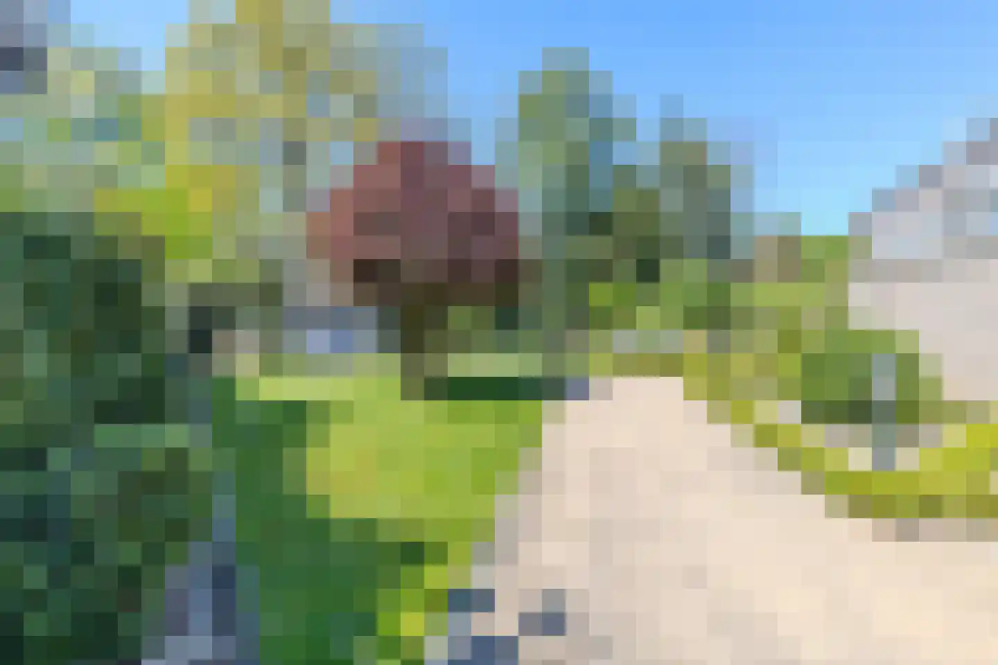 Klein Belgie 3620 Lanaken Vijfhuizen thumbnail 39