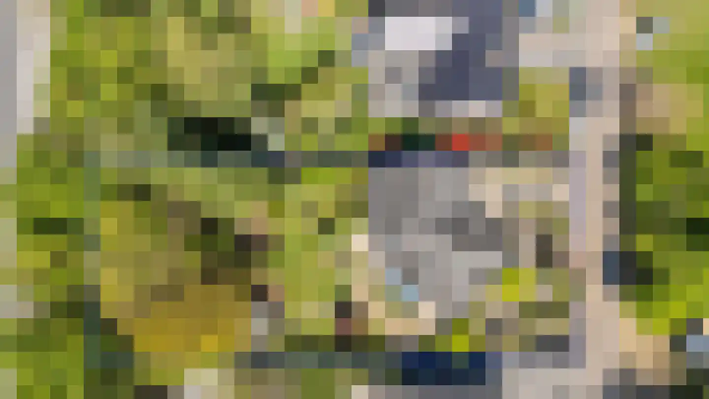 Klein Belgie 3620 Lanaken Vijfhuizen thumbnail 41