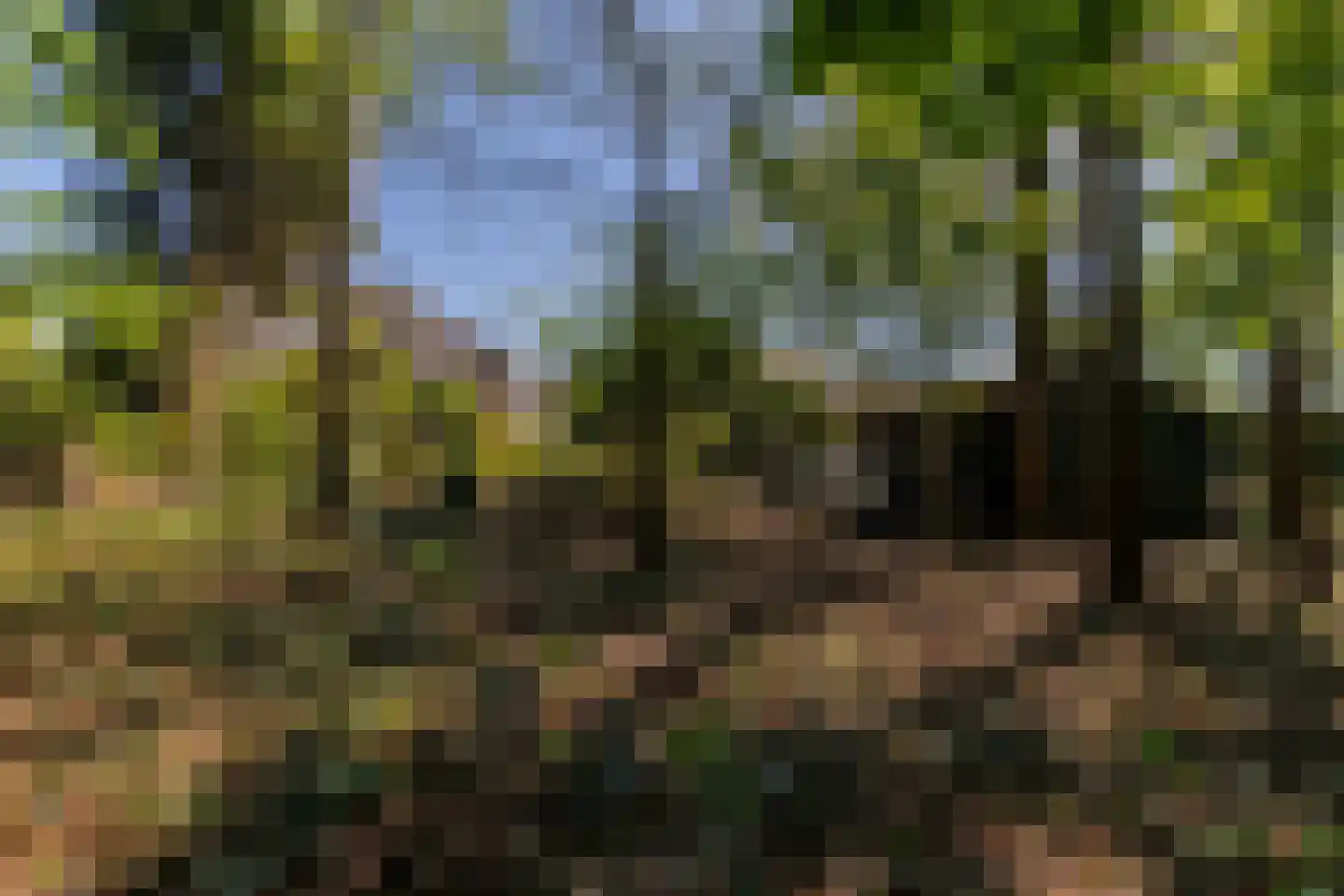 Klein Belgie 3620 Lanaken Vijfhuizen thumbnail 46