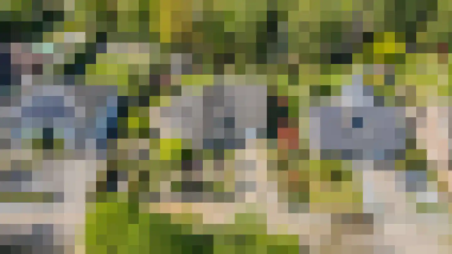 Klein Belgie 3620 Lanaken Vijfhuizen thumbnail 47
